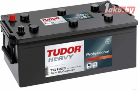 Грузовой аккумулятор TUDOR Professional TG1906 (190 А/ч) 1000А R+